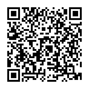 Google�t�H�[�����p�҃A���P�[�g